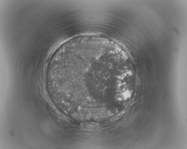 X0000114120337200911161143