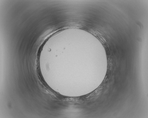 X0000114120338200911161143