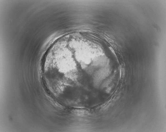 X0000114120339200911161143