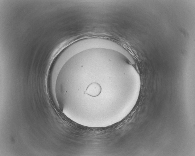 X0000114120340200911161143