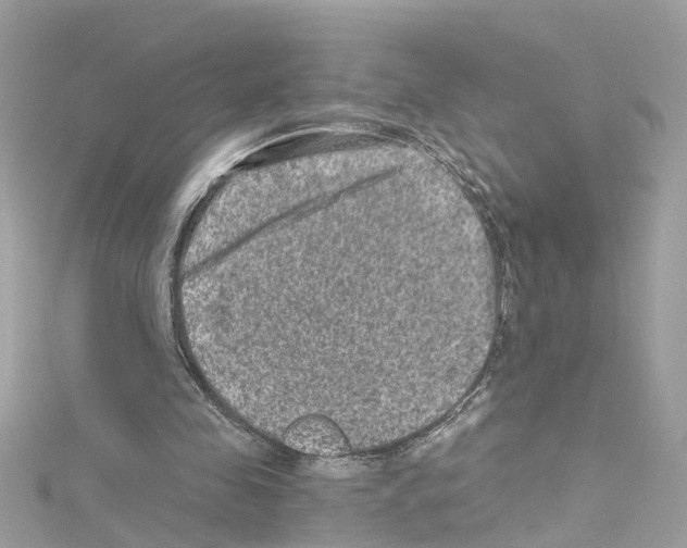 X0000114120341200911161143