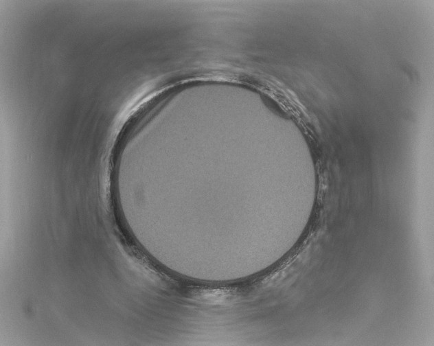 X0000114120344200911161143