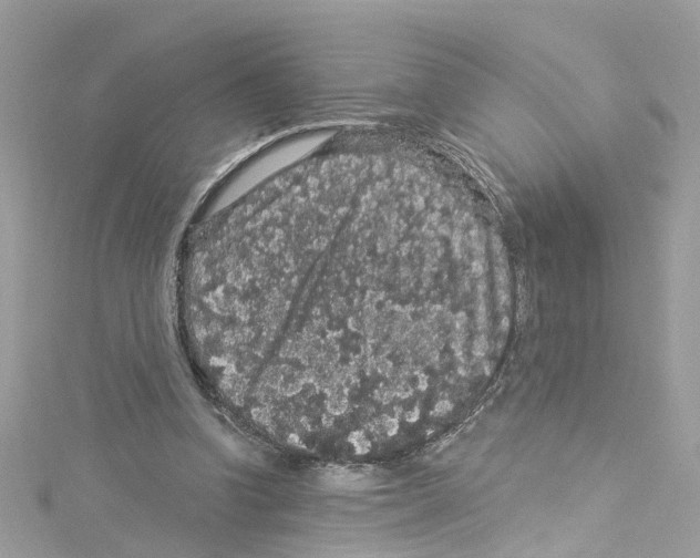 X0000114120346200911161143