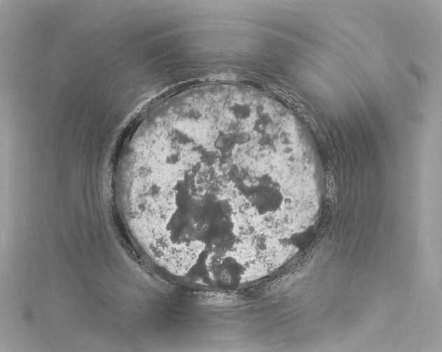 X0000114120347200911161143