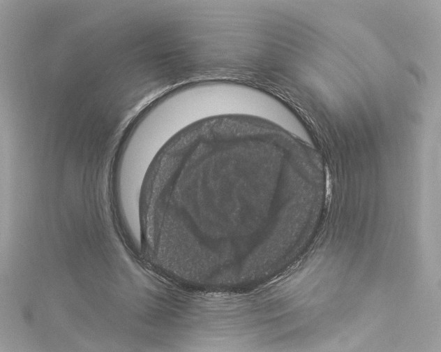 X0000114120348200911161143