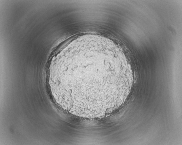 X0000114120349200911161143