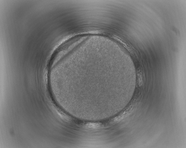 X0000114120350200911161143