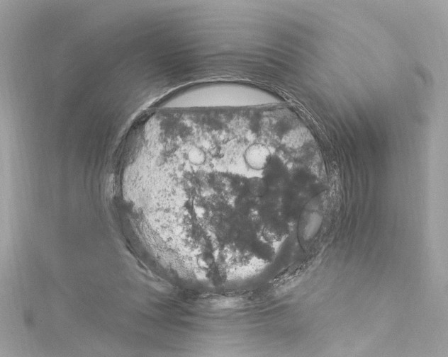 X0000114120351200911161143