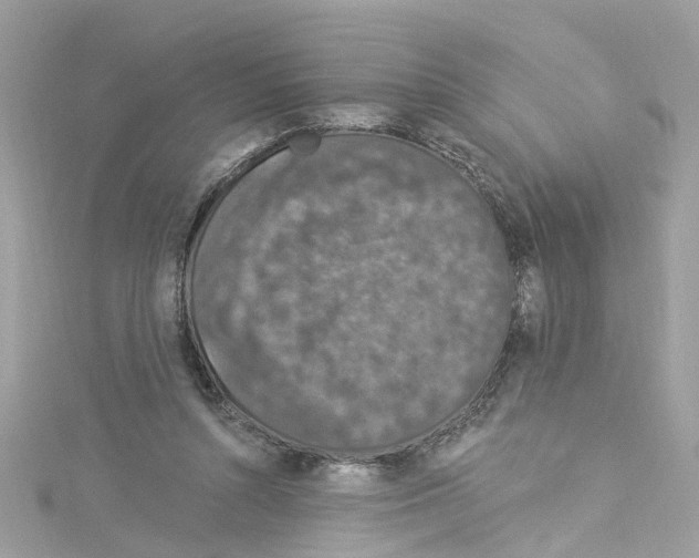 X0000114120352200911161143