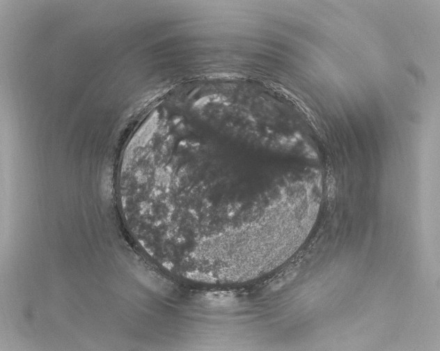 X0000114120353200911161143