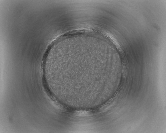 X0000114120354200911161144