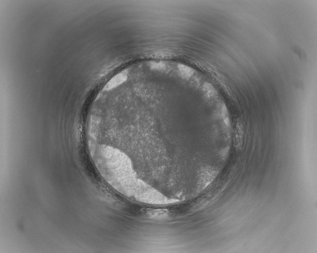 X0000114120355200911161144