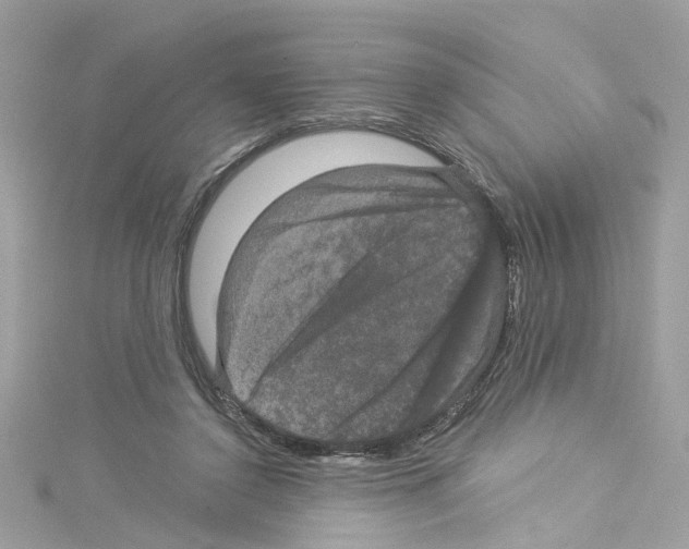 X0000114120356200911161144