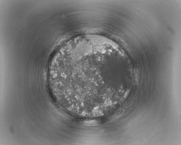 X0000114120357200911161144