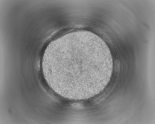 X0000114120358200911161144