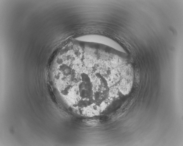 X0000114120359200911161144