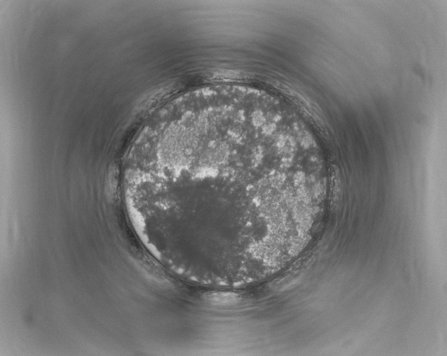 X0000114120361200911161144