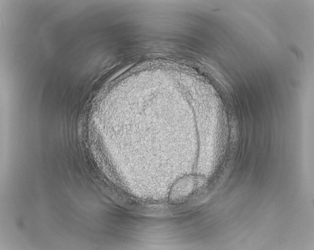 X0000114120363200911161144