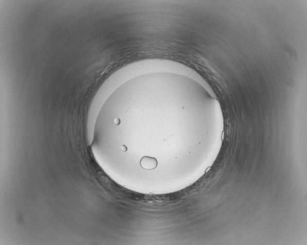 X0000114120368200911161144