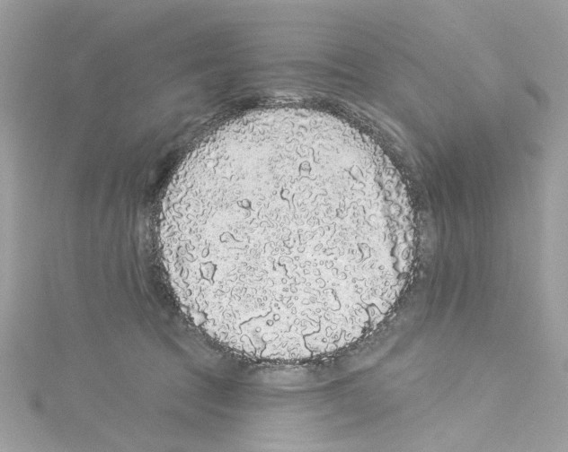 X0000114120369200911161144