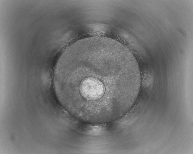 X0000114120370200911161144