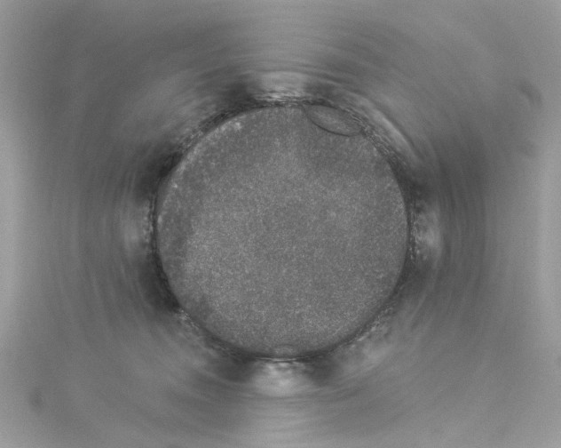 X0000114120372200911161144