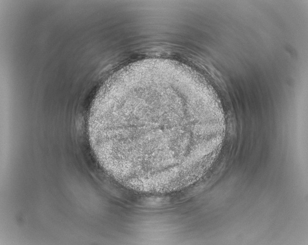 X0000114120375200911161144