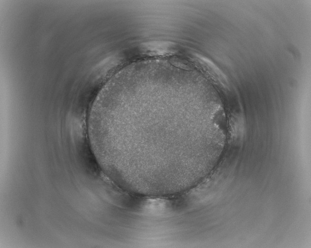 X0000114120376200911161144