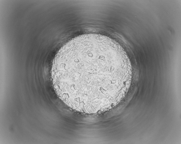 X0000114120377200911161144