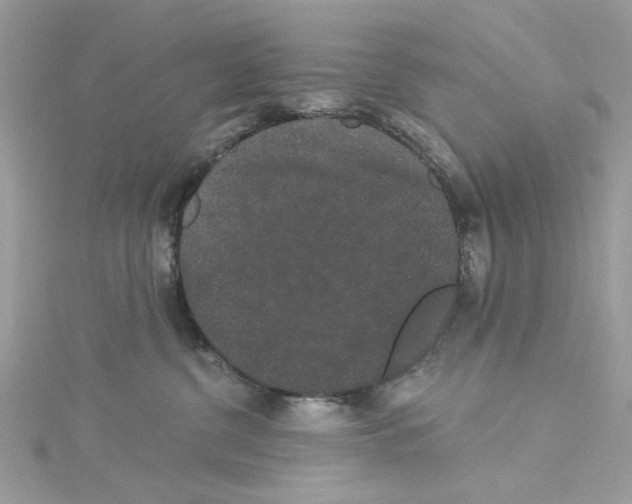 X0000114120380200911161144