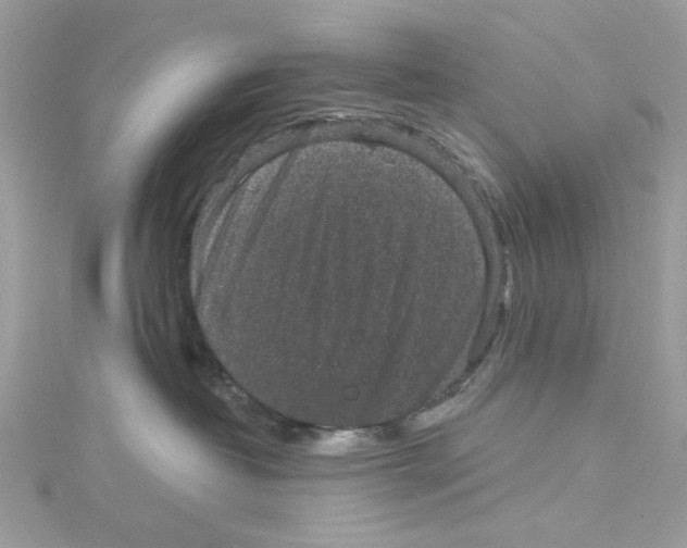 X0000114120382200911161144