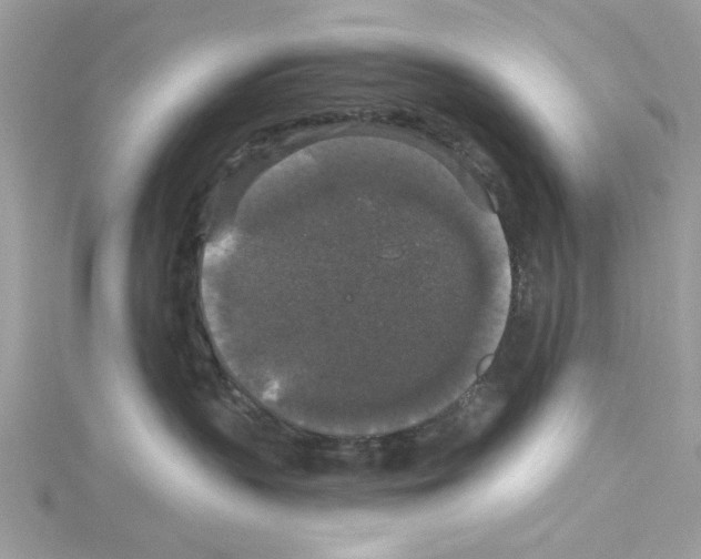 X0000114120383200911161144