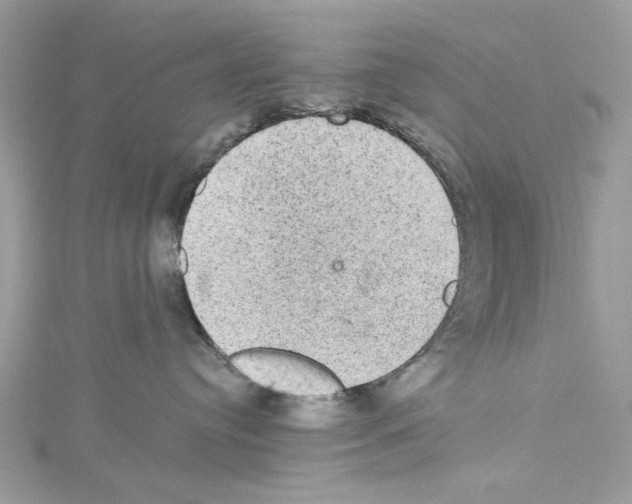 X0000114120384200911161144