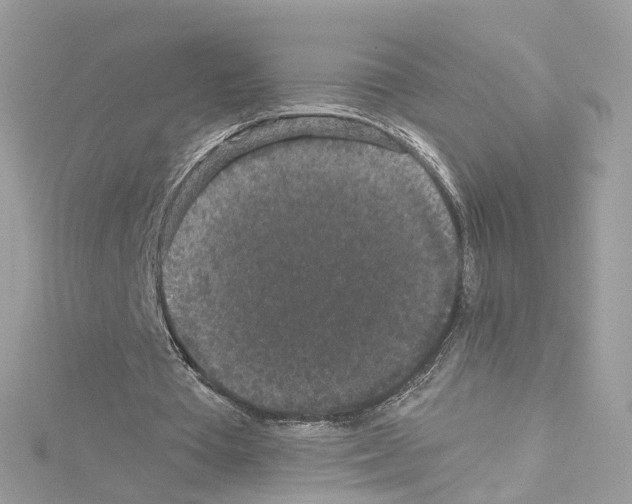 X0000114120385200911161143