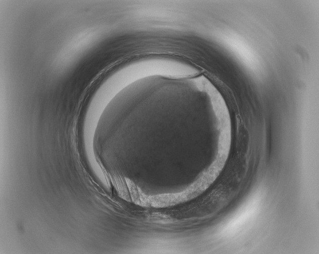 X0000114120387200911161143