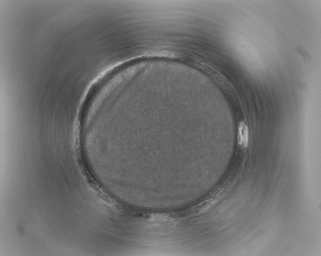 X0000114120388200911161143