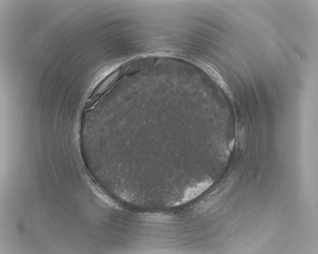 X0000114120389200911161143