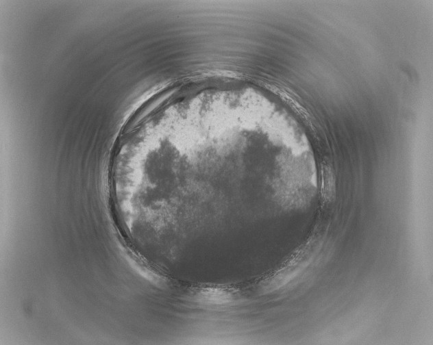 X0000114120390200911161143