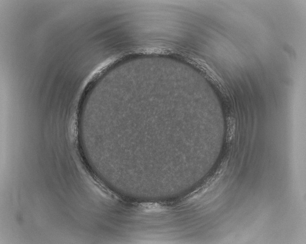 X0000114120392200911161143