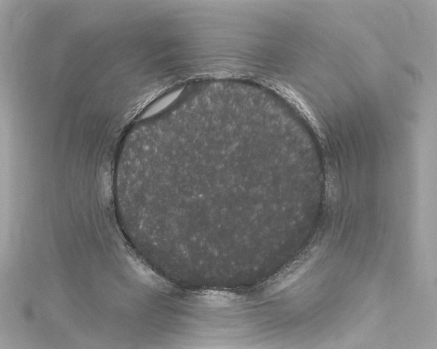 X0000114120393200911161143