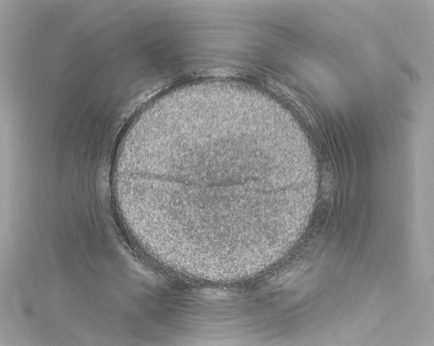 X0000114120394200911161143