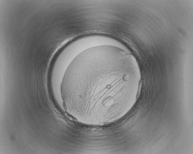 X0000114120395200911161143