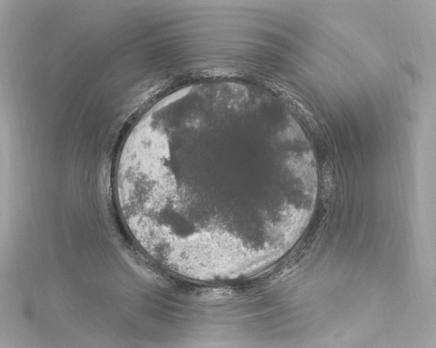 X0000114120398200911161143