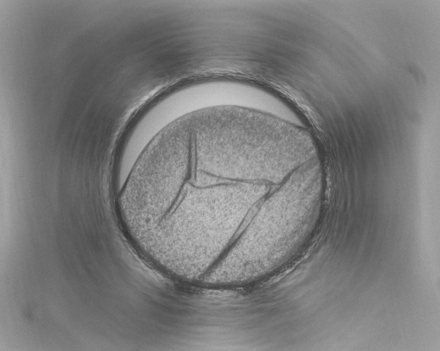 X0000114120399200911161143