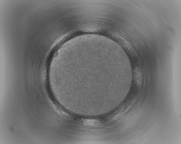 X0000114120400200911161143