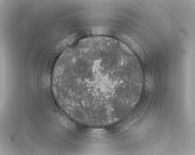 X0000114120401200911161143