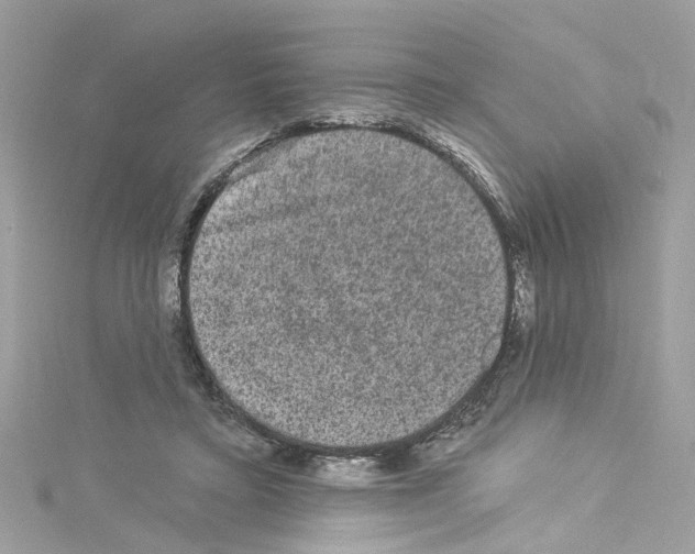 X0000114120403200911161143