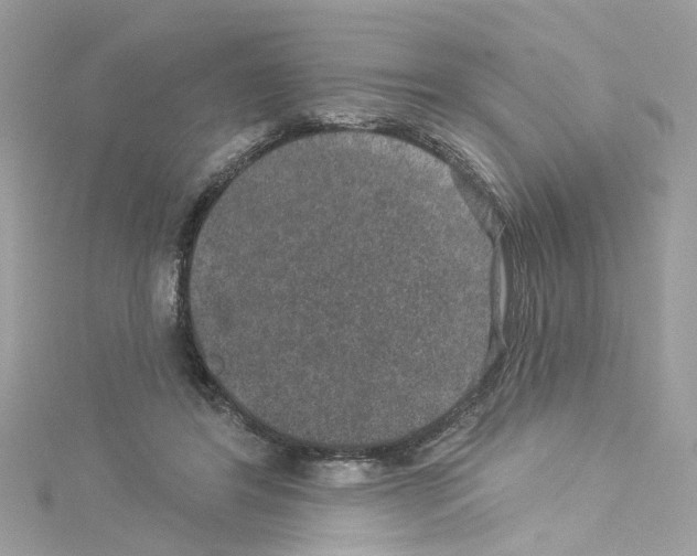 X0000114120404200911161143