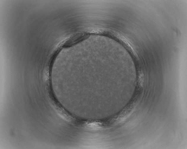 X0000114120407200911161143