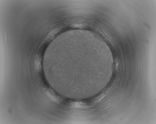 X0000114120408200911161143